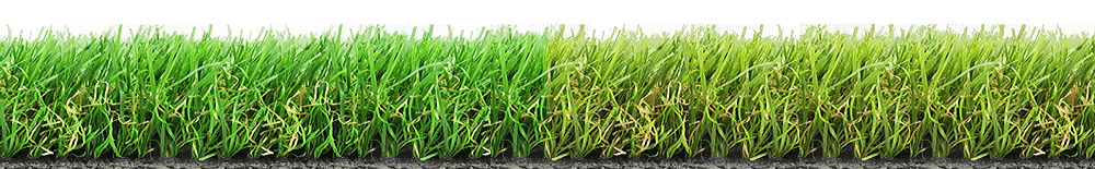 Rumput Sintetis Jepang Tangerang