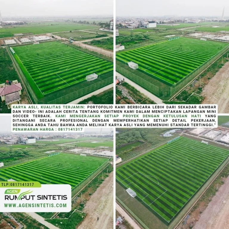 jasa pembuatan lapangan mini soccer