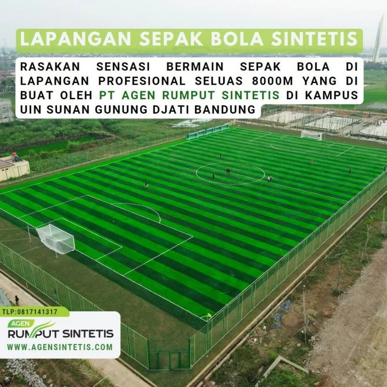 jasa pembuatan lapangan mini soccer